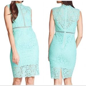 Bardot LACE PANEL midi DRESS IN MINT